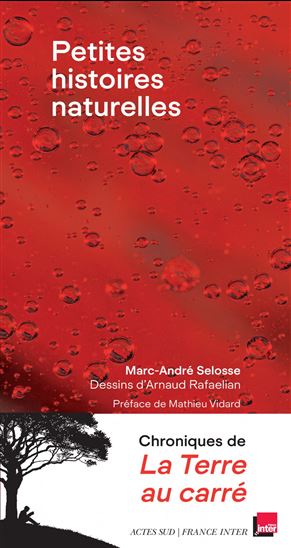 Petites histoires naturelles : chroniques de La Terre au carré - MARC-ANDRÉ SELOSSE