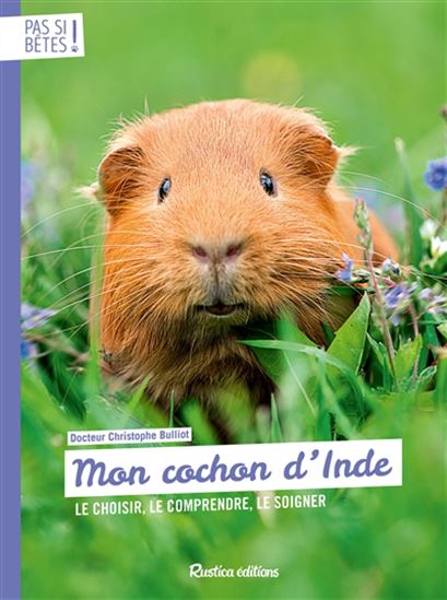 Mon cochon d&#39;Inde - CHRISTOPHE BULLIOT
