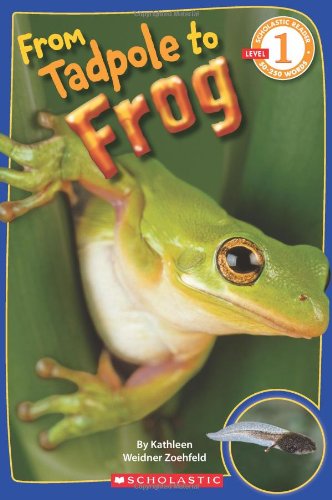From Tadpole to Frog - KATHLEEN WEIDNER ZOEHFELD