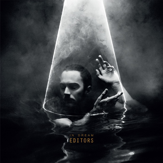 In Dream (Vinyle) - EDITORS