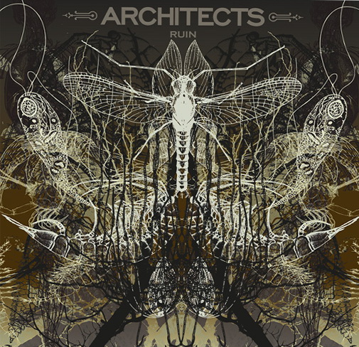 Ruin (2007 Vinyle Reissue) - ARCHITECTS