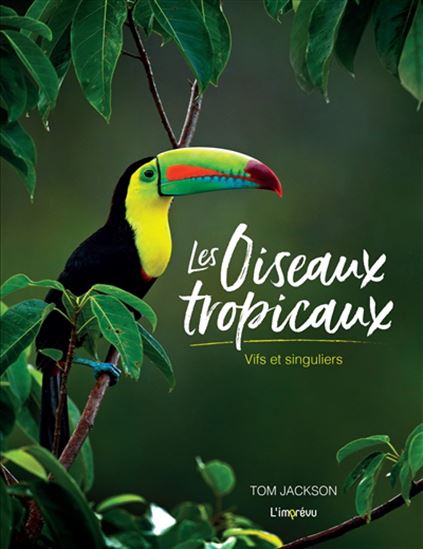 Les Oiseaux tropicaux : Vifs et singuliers - TOM JACKSON