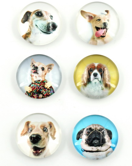 Aimant Chiens 6AS
