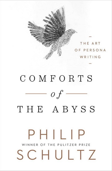 Comforts of the Abyss - PHILIP SCHULTZ