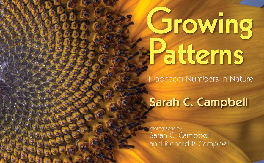 Growing Patterns - SARAH C CAMPBELL - RICHARD P CAMPBELL