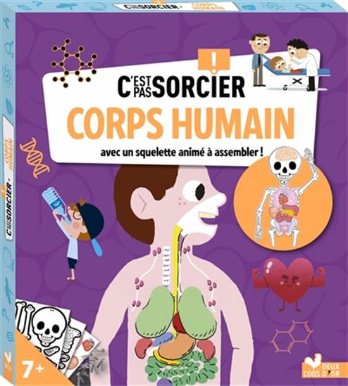 C&#39;est pas sorcier ! : corps humain : avec un squelette animé à assembler ! Cof. - COLLECTIF
