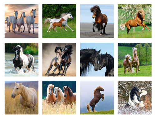 Calendrier mini 2023 Chevaux 16x16cm