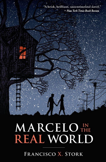 Marcelo in the Real World - FRANCISCO X STORK