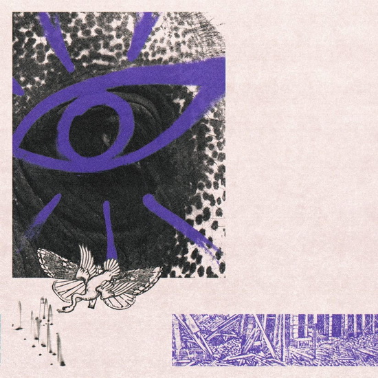 LP3 - HIPPO CAMPUS