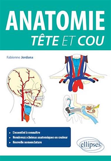 Anatomie tête et cou - FABIENNE JORDANA