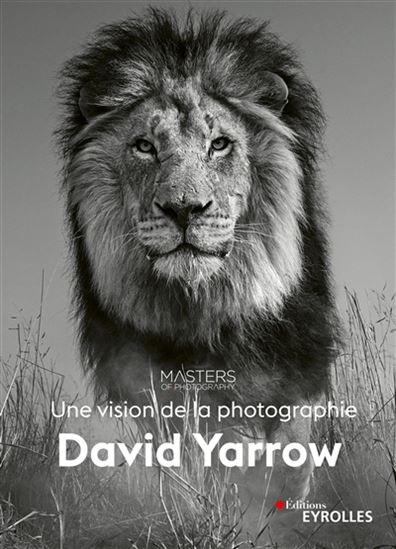 David Yarrow : une vision de la photographie - DAVID YARROW