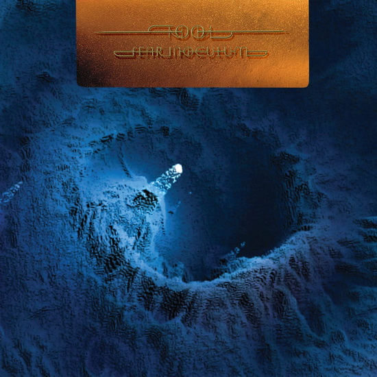 Fear Inoculum (Vinyle édition limitée) - TOOL