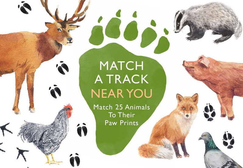 Match a Track Near You - MARCEL GEORGE