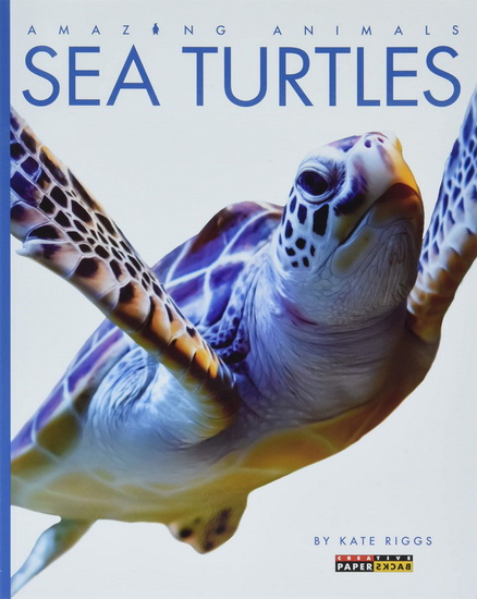 Sea Turtles - KATE RIGGS