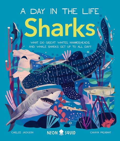 Sharks (A Day in the Life) - COLLECTIF