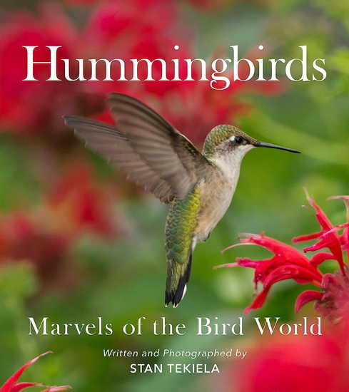 Hummingbirds - STAN TEKIELA