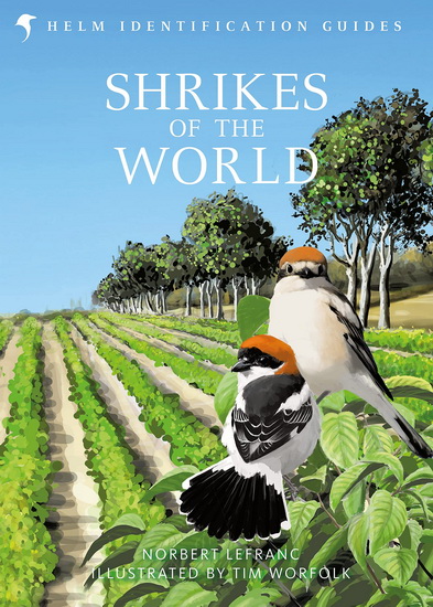Shrikes of the World - NORBERT LEFRANC - TIM WORFOLK