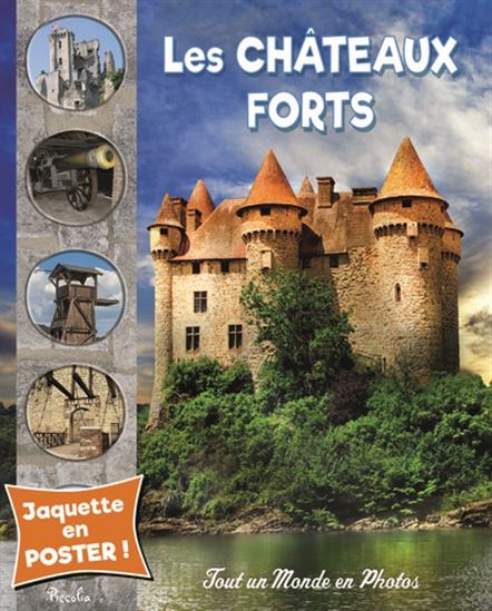 Les Châteaux forts N. éd. - COLLECTIF