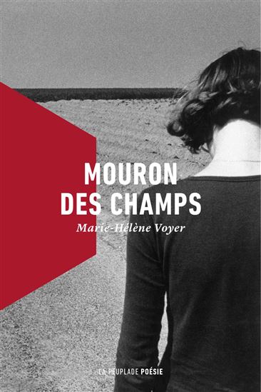 Mouron des champs - MARIE-HÉLÈNE VOYER