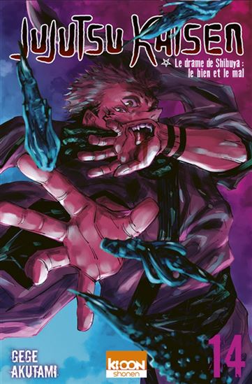 Jujutsu kaisen #14 - GEGE AKUTAMI