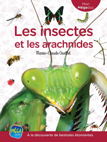 Les Insectes et les arachnides - MARIE-CLAUDE OUELLET