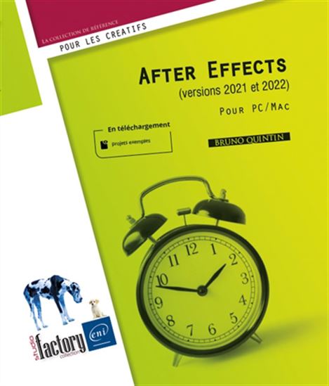 After Effects (versions 2021 et 2022) : pour PC-Mac - BRUNO QUINTIN