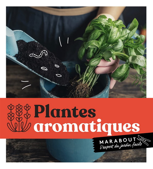 Plantes aromatiques - COLLECTIF