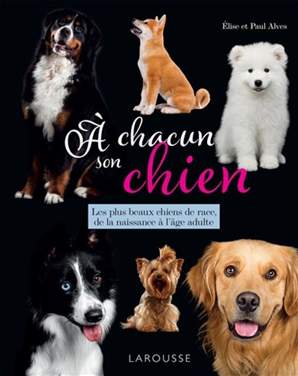À chacun son chien : les plus beaux chiens de race, de la naissance à l&#39;âge adulte - ELISE ALVES - PAUL ALVES