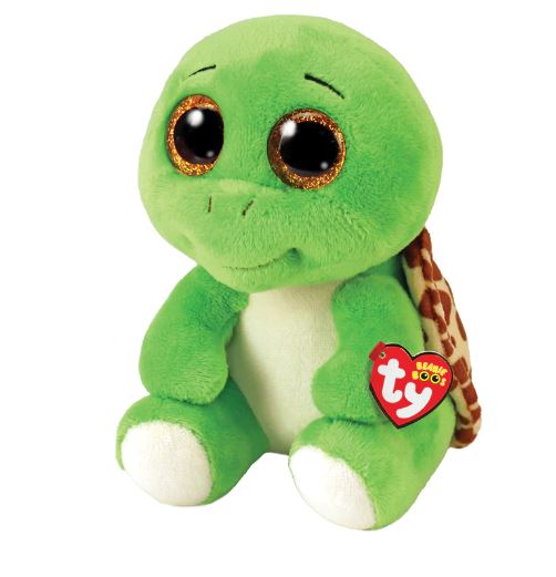 Tortue Turbo petite