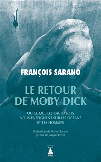 Le Retour de Moby Dick ou Ce que les cachalots nous enseignent sur les océans et les hommes - FRANÇOIS SARANO