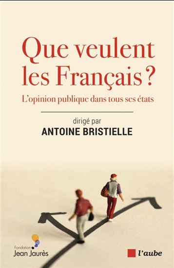 Que veulent les Français ? : l'opinion publique dans tous ses états - ANTOINE BRISTIELLE