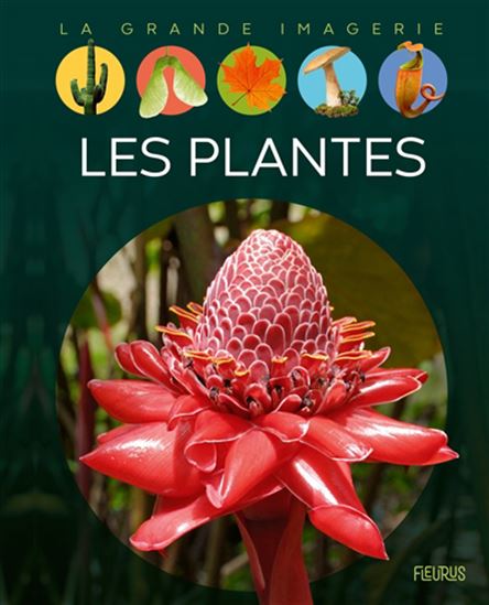 Les Plantes N. éd. - EMILIE BEAUMONT - SABINE BOCCADOR