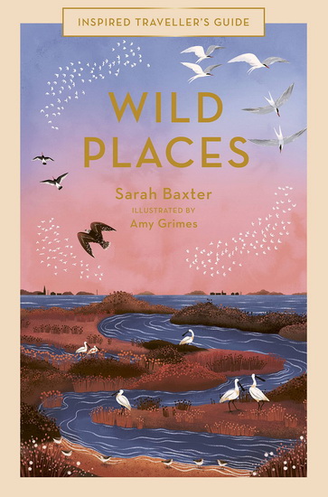 Wild Places - SARAH BAXTER - AMY GRIMES