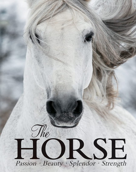 The Horse - COLLECTIF