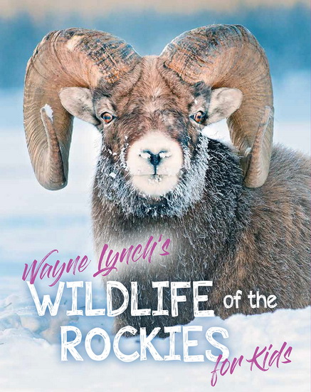 Wildlife of the Rockies for Kids - WAYNE LYNCH