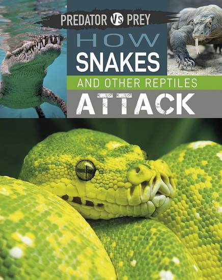 Predator vs Prey: How Snakes and other Reptiles Attack! - TIM HARRIS