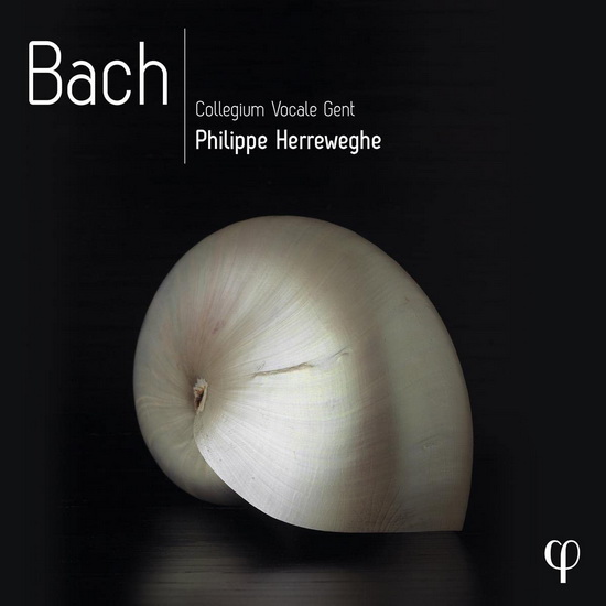 Bach (10CD) - BACH