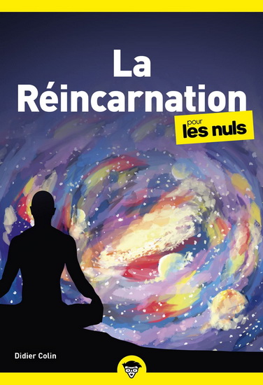 La Réincarnation pour les nuls - DIDIER COLIN