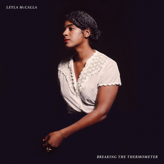Breaking the Thermometer - LEYLA MCCALLA