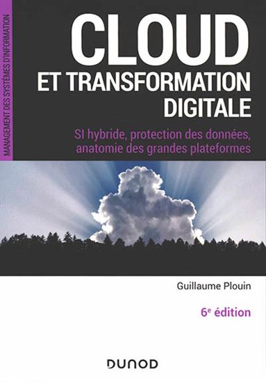 Cloud et transformation digitale : SI hybride, protection des données, anatomie des grandes plateformes 6e éd. - GUILLAUME PLOUIN