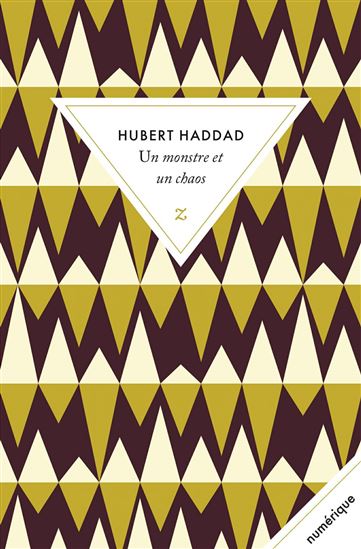 Un monstre et un chaos - HUBERT HADDAD