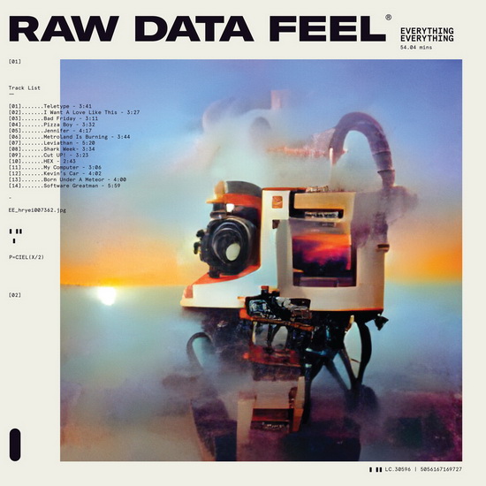 Raw Data Feel (Vinyle - Clair) - EVERYTHING EVERYTHING