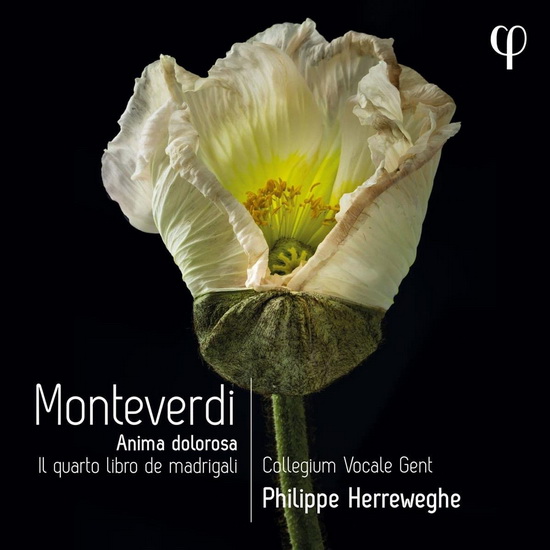 Monteverdi: Il quarto libro de madrigali - MONTEVERDI