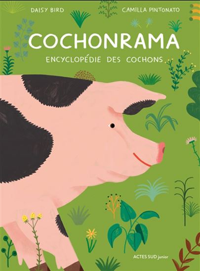 Cochonrama : encyclopédie des cochons - DAISY BIRD