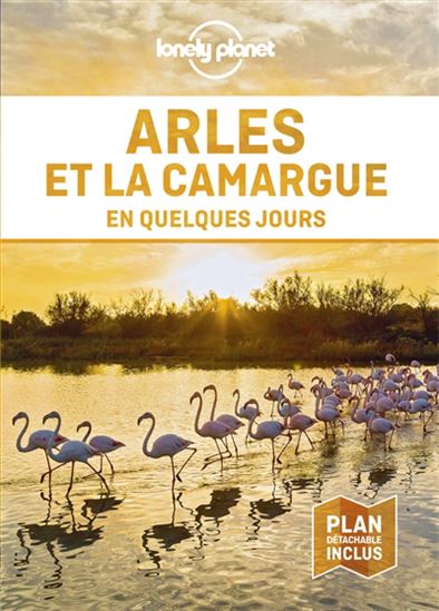 Arles et la Camargue en quelques jours - COLLECTIF