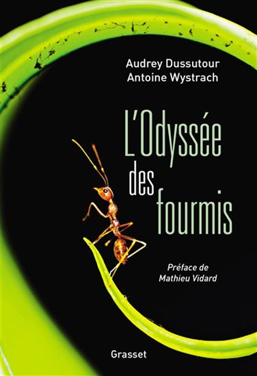L&#39;Odyssée des fourmis - AUDREY DUSSUTOUR - ANTOINE WYSTRACH