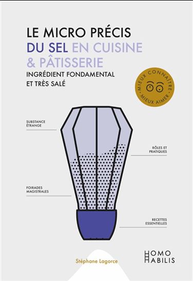 Le Micro précis du sel en cuisine & pâtisserie : ingrédient fondamental et très salé - STÉPHAN LAGORCE