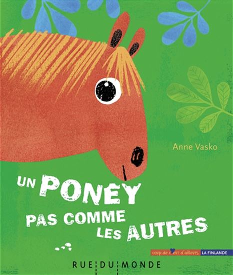 Un poney pas comme les autres - ANNE VASKO