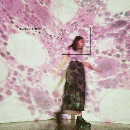 Sometimes, Forever - SOCCER MOMMY