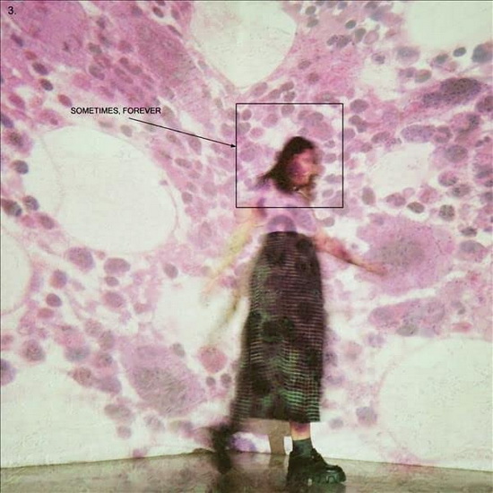 Sometimes, Forever (Vinyle) - SOCCER MOMMY